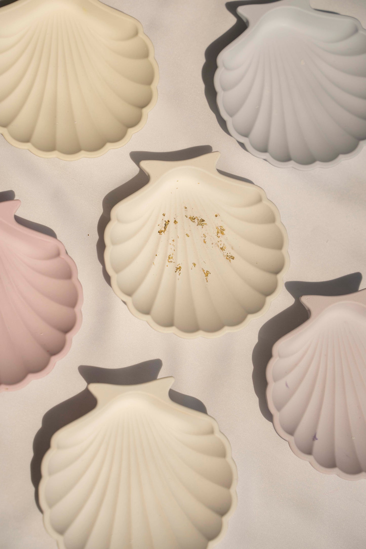 Muschelschale