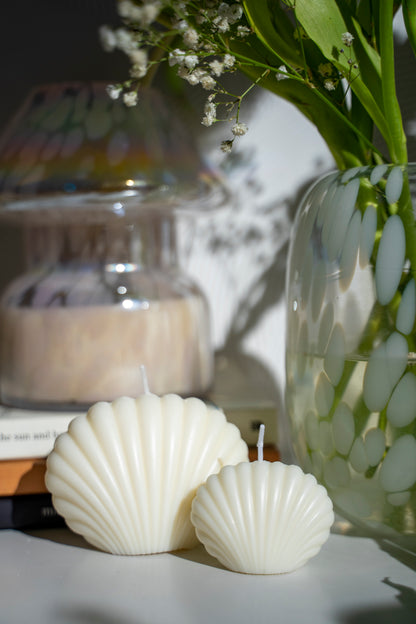 kleine Muschel Kerze
